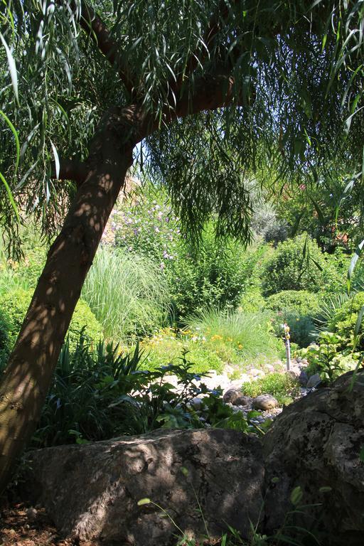 טקירובה Dostlar Pension מראה חיצוני תמונה